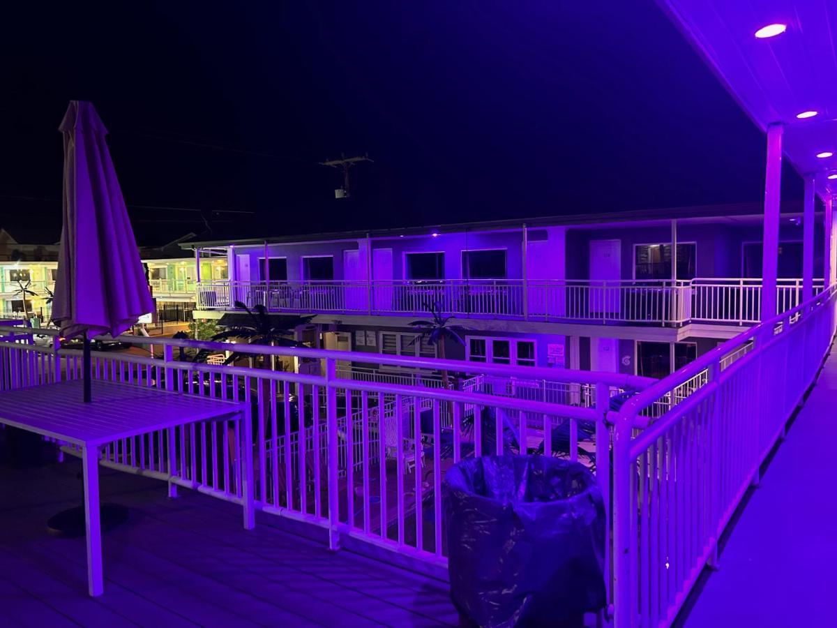 Twilight Wildwood