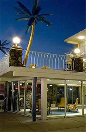 Blue Palms