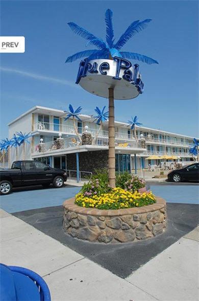 Blue Palms Motel Wildwood