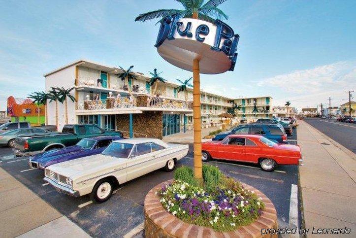 Motel Blue Palms Wildwood