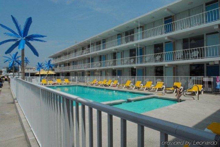 Blue Palms 3*