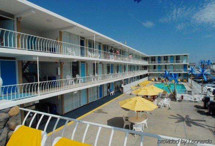 Blue Palms 3* Wildwood