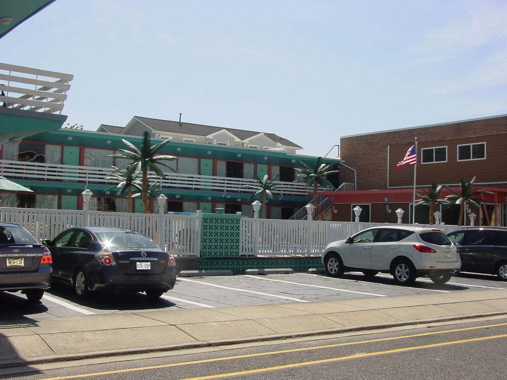 Dolphin Motel 2*