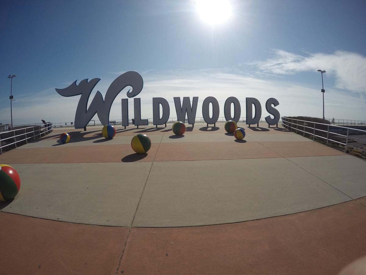 Starfire Wildwood
