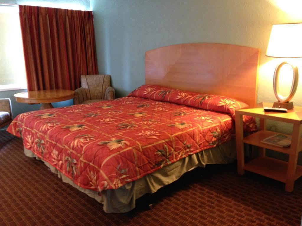 Motel Dolphin