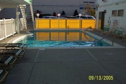 Seahorse 4*