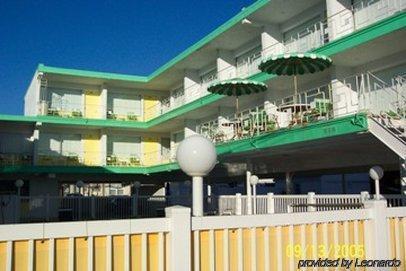 Motel Seahorse 4*