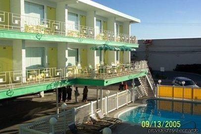 Seahorse Wildwood