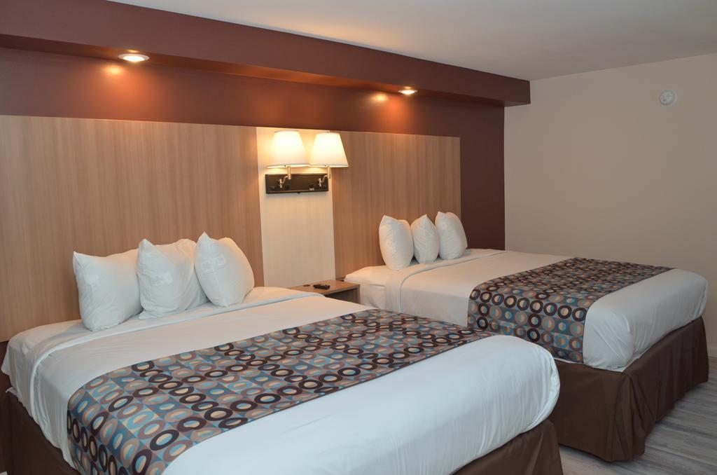 Seahorse 4*