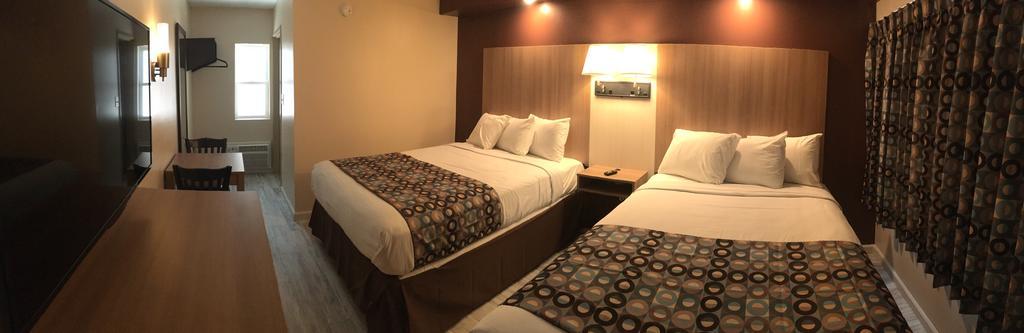Seahorse 4*