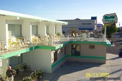 Seahorse 4*